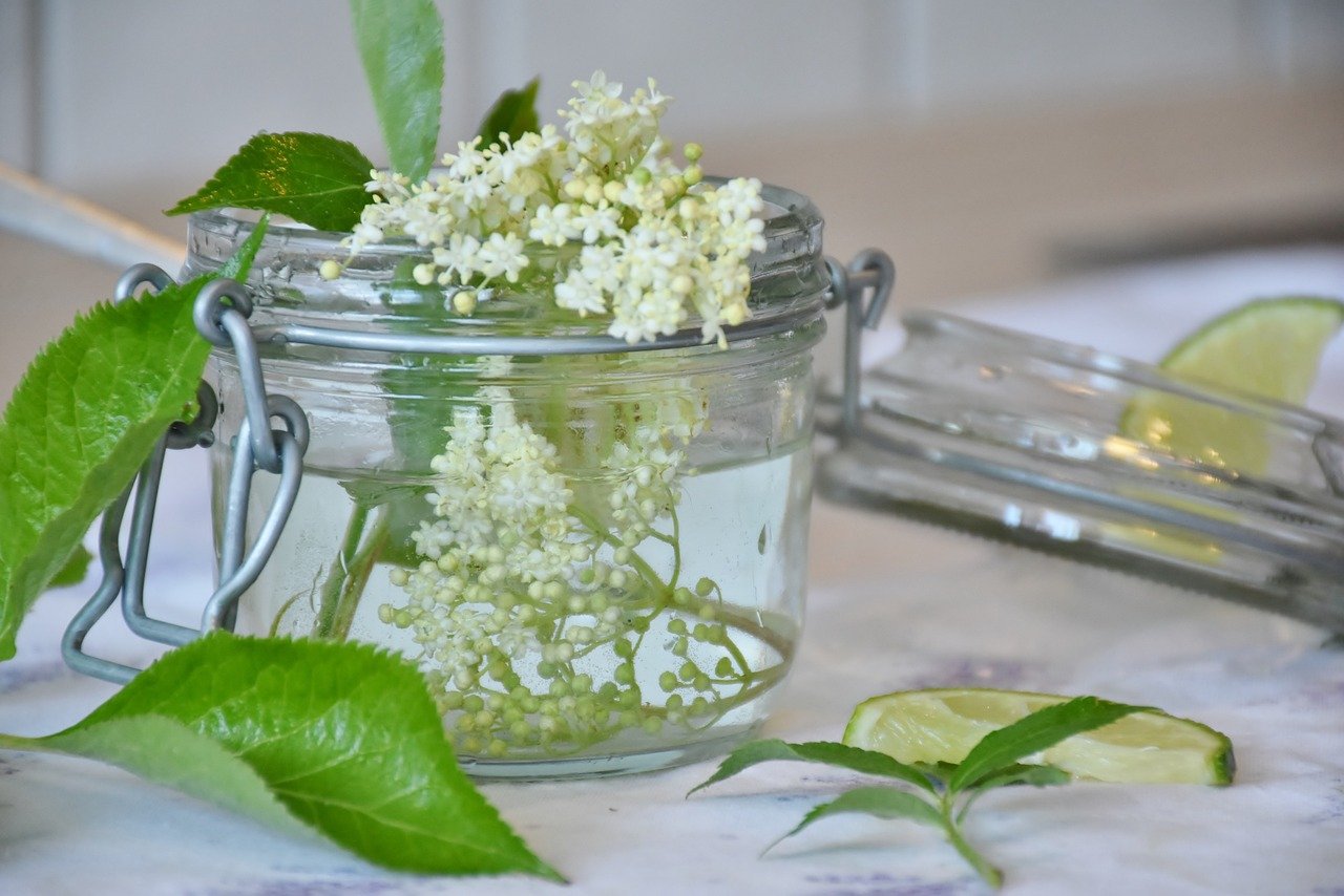 Elderflower Martini